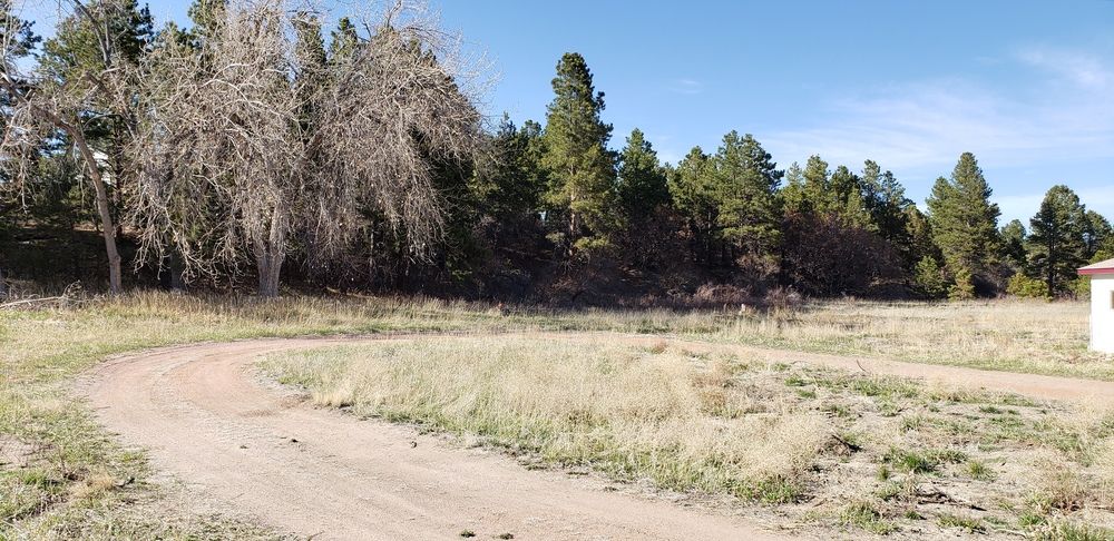 Land For Sale: 2290 Old Ranch Rd, Colorado Springs, CO 80908